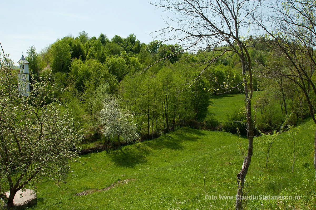 Troițe